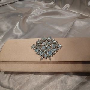 Inc International Concepts Nichkole Brooch Clutch